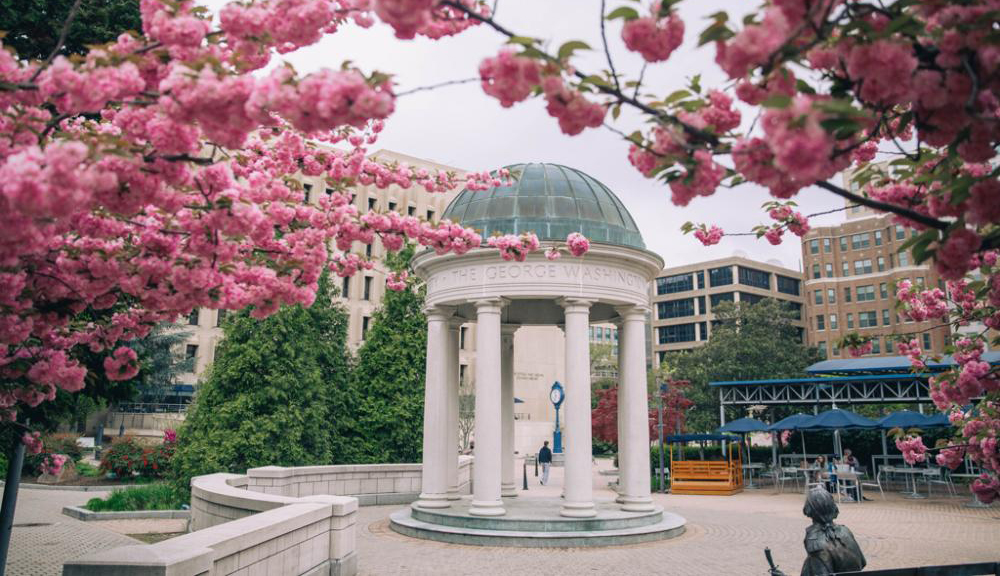 Tempietto in Kogan Plaza with cherry blossoms in the foreground