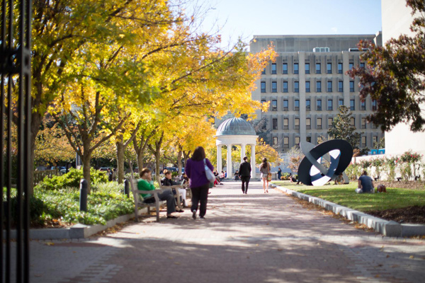 students walk toward Kogan Plaza, beautiful yellow fall leaves on trees, sculpture in background