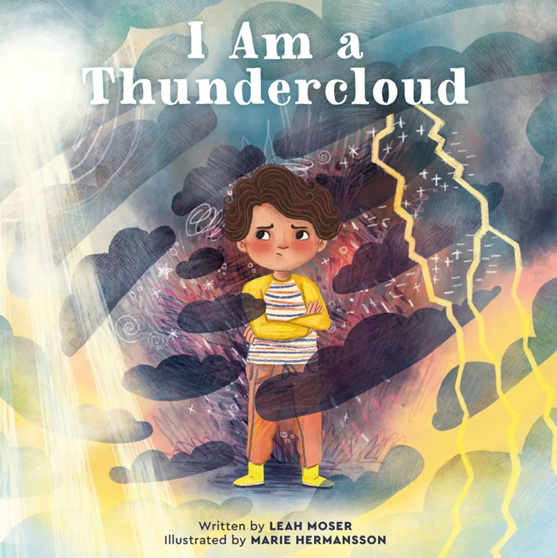 I am a Thundercloud book cover as featured on Bards Alley Bookstore website