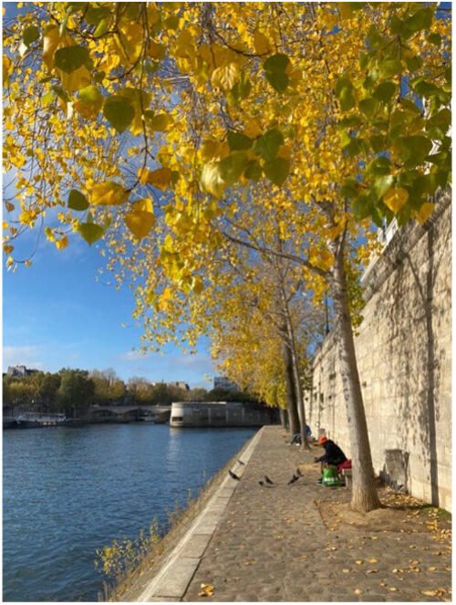 Seine River to the left, row of trees with beautiful yellow leaves to the right lining the walkway