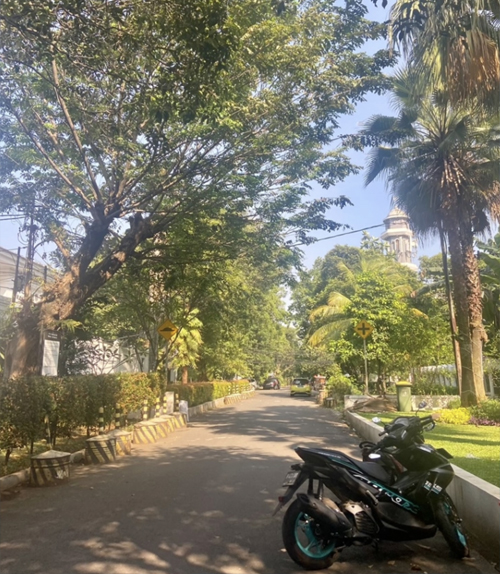 a small motor bike is parked in the lower bottom corner, road lined by trees continues in the distance