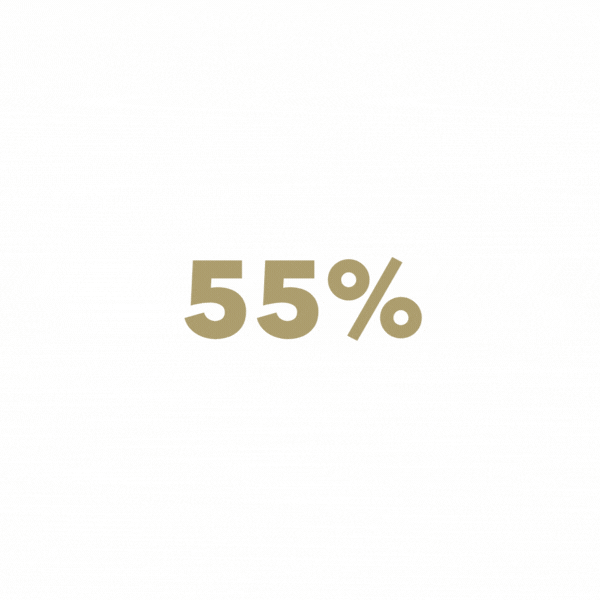 circle graph representing 55 percent