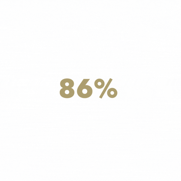 circle graph representing 86 percent