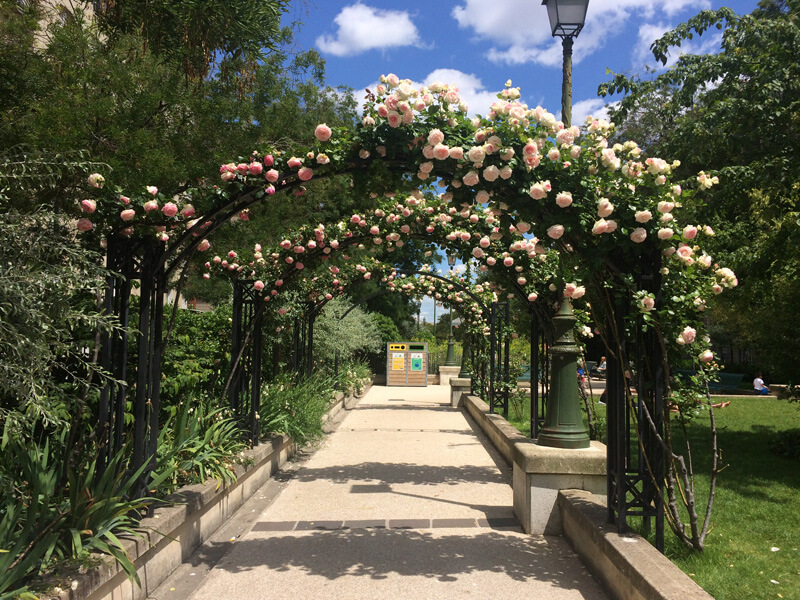 park in Paris with arches blooming with pink flowers