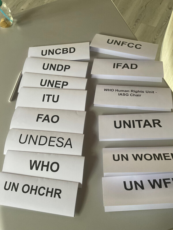 Stack of name cards for various UN institutes and organizations laid out on a table.