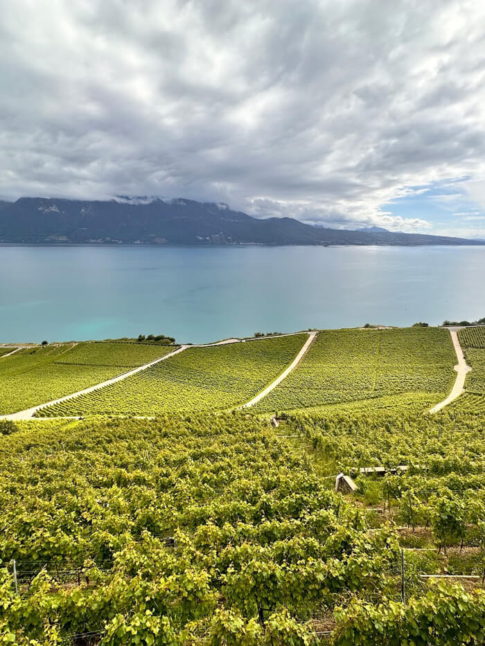 Panoramic view of lush green vineyards cascading down hillsides towards the shimmering blue waters of Lake Geneva, with cloud-capped mountains in the distance.
