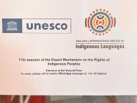 A colorful official poster for the Seventeenth Session of the Expert Mechanism on the Rights of Indigenous Peoples, displayed on a wall in a UN building hallway.