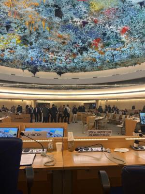 view from Hatch's seat on the right hand of the Special Rapporteur of Minority Issues at the 17th session of the United Nations Forum on Minority Issues