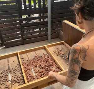 Lily looking at the different stages of fermentation and roasting of cacao