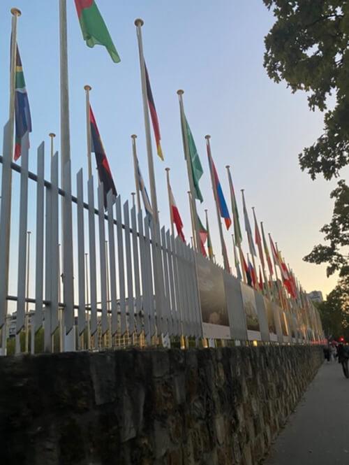 flags from countries all over the world line the fence leading to the UNESCO Executive Board meeting