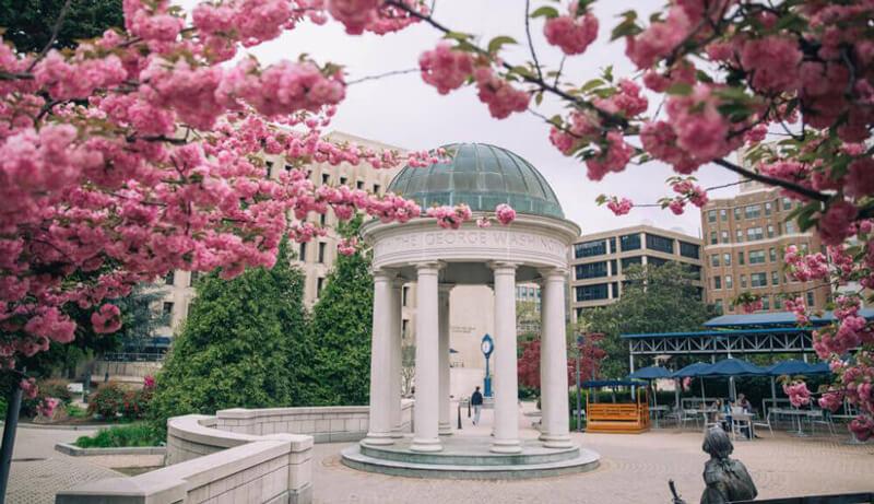 Tempietto in Kogan Plaza with cherry blossoms in the foreground