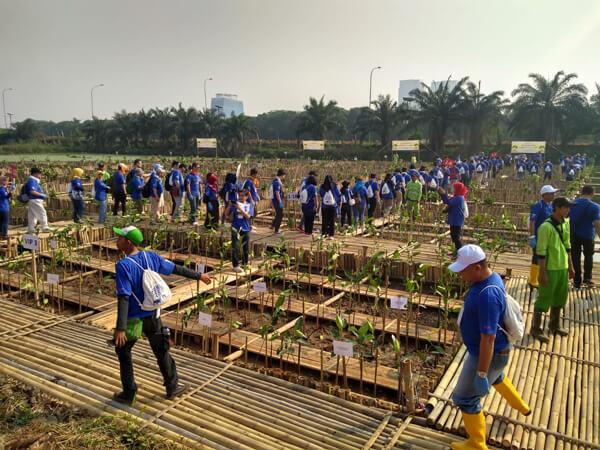 group of volunteers with AEON Environmental Foundation helping to plant mangroves